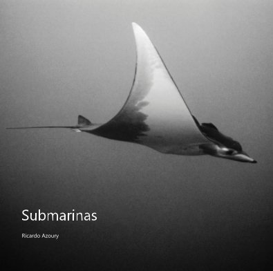 Submarinas book cover