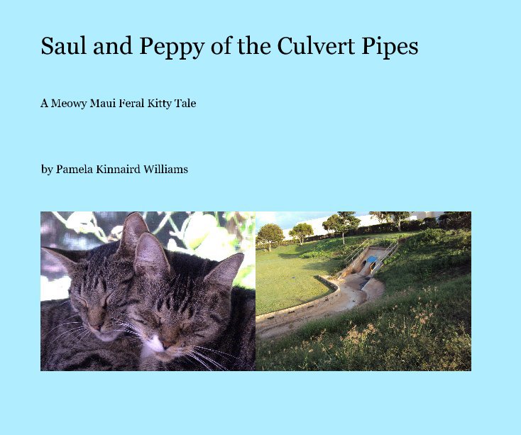 View Saul and Peppy of the Culvert Pipes by Pamela Kinnaird Williams