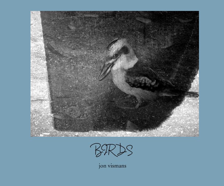 View BIRDS by jon vismans