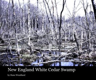 New England White Cedar Swamp book cover