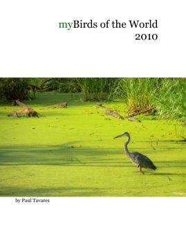 myBirds of the World 2010 book cover