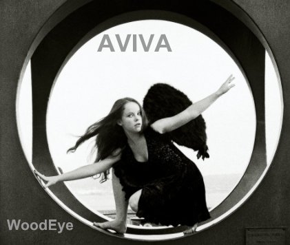 AVIVA book cover