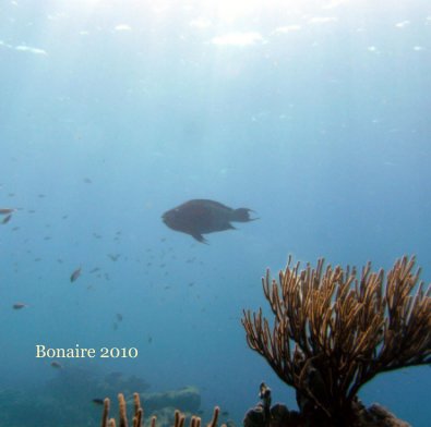 Bonaire 2010 book cover