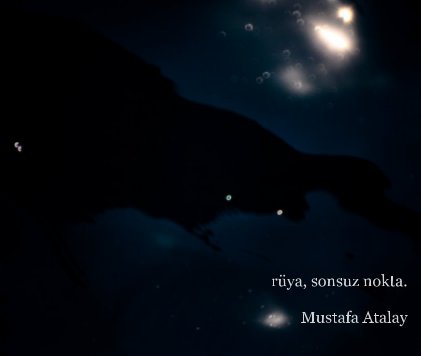 rüya, sonsuz nokta. Mustafa Atalay book cover