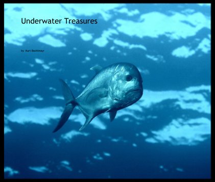 Underwater Treasures 2 book cover