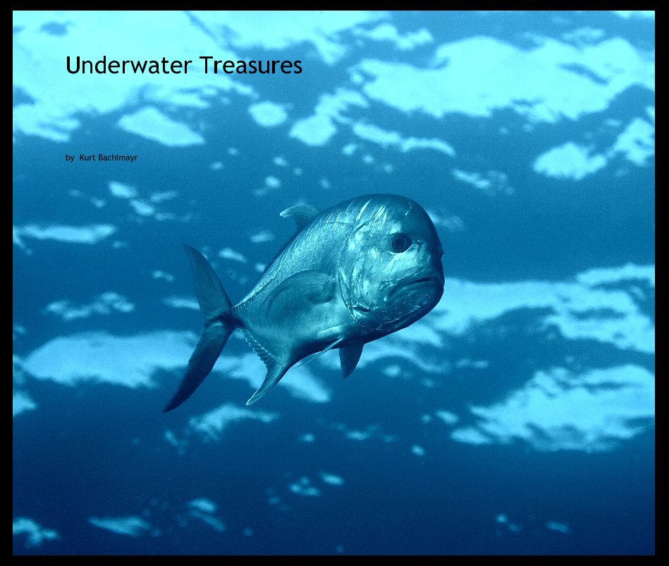 Ver Underwater Treasures 2 por Kurt Bachlmayr