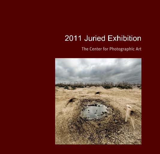 2011 Juried Exhibition nach JMKas anzeigen