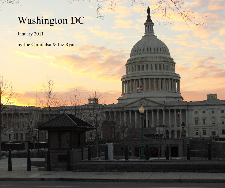 View Washington DC by Joe Cartafalsa & Liz Ryan