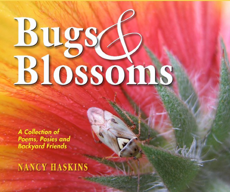 View Bugs & Blossoms by Nancy Haskins