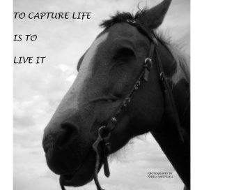 TO CAPTURE LIFE IS TO LIVE IT book cover