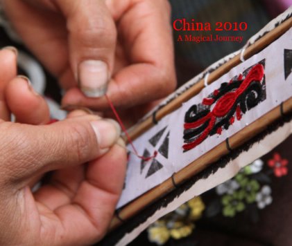 China 2010 book cover