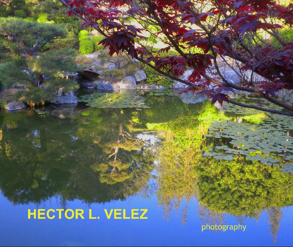 View HECTOR L. VELEZ photography by velcair