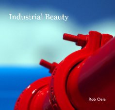 Industrial Beauty book cover