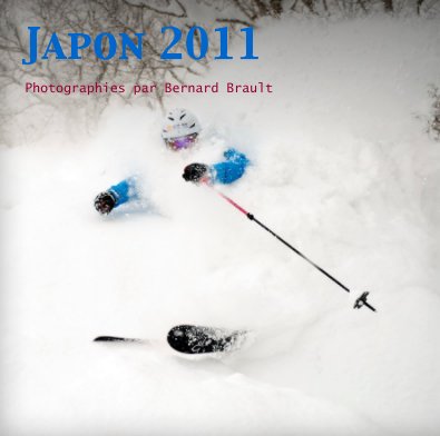 Japon 2011 book cover