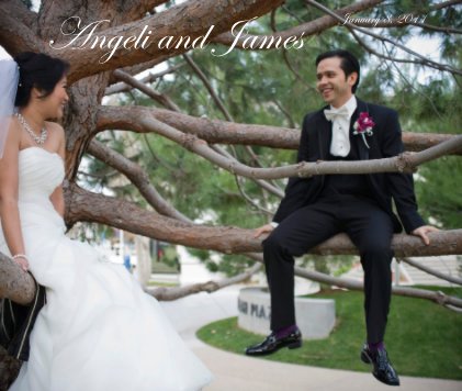 Angeli and James book cover