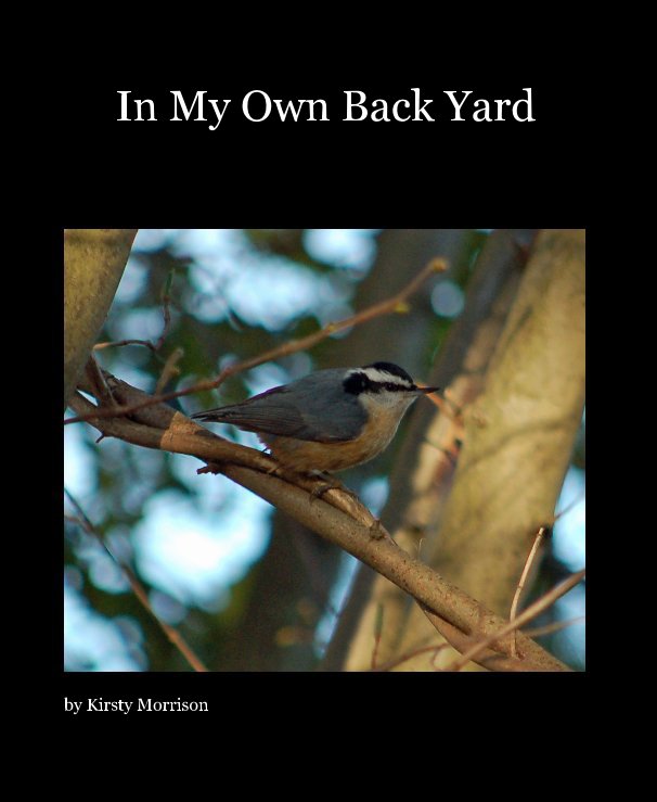 View In My Own Back Yard by Kirsty Morrison