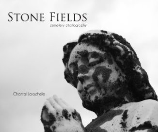 Stone Fields book cover
