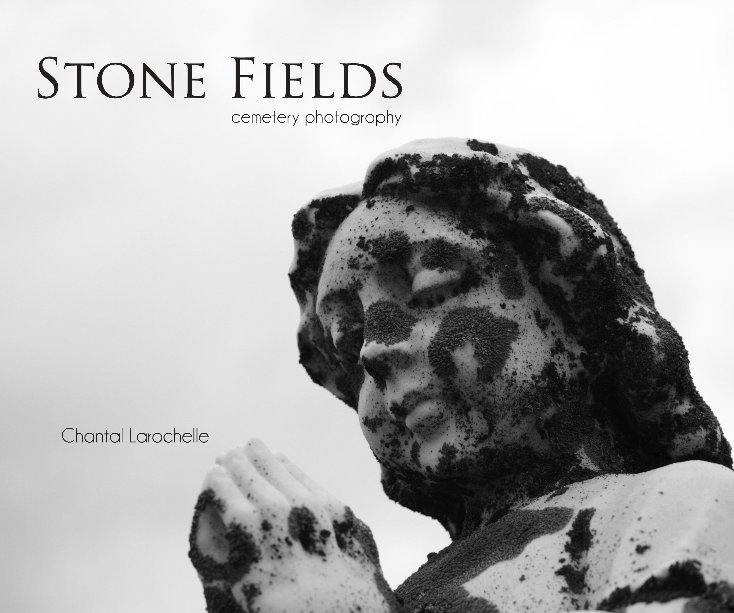 Bekijk Stone Fields op Chantal Larochelle