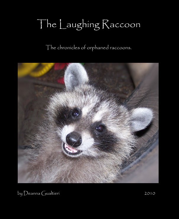 View The Laughing Raccoon by Deanna Gualtieri 2010