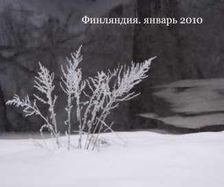 Финляндия. январь 2010 book cover