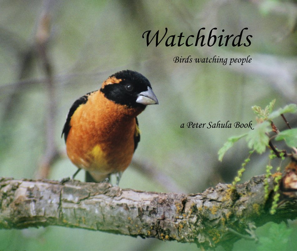 View Watchbirds by Peter Sahula