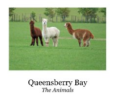 Queensberry Bay book cover