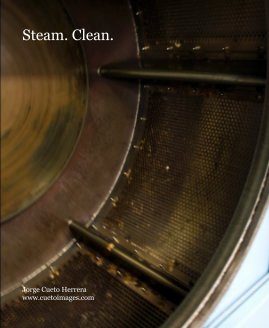 Steam. Clean. book cover