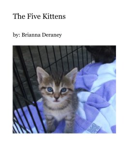 The Five Kittens book cover
