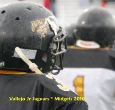 Vallejo Jr Jaguars book cover