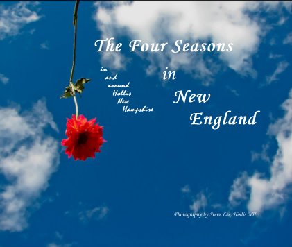 The Four Seasons in New England book cover