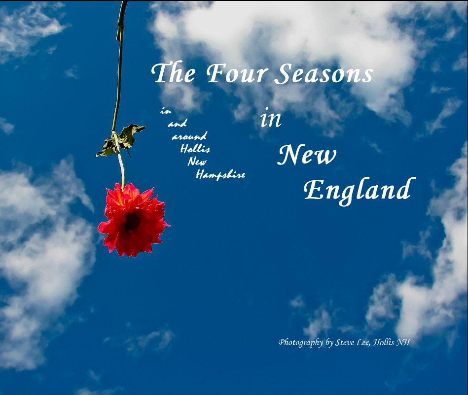 Visualizza The Four Seasons in New England di Steve Lee, Hollis NH