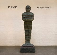 David book cover