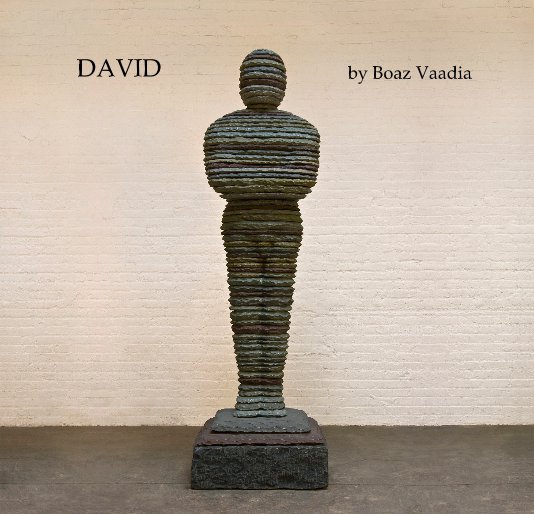 View David by Boaz Vaadia