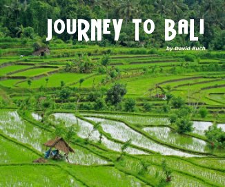 Journey To Bali book cover