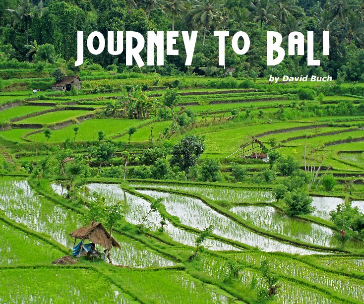 View Journey To Bali by David Buch