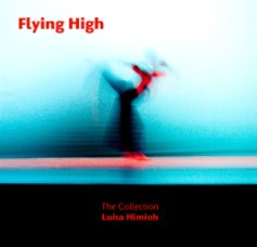 Flying High book cover