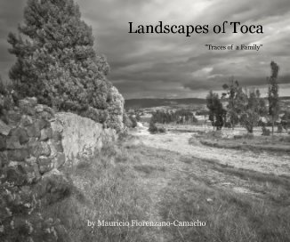 Landscapes of Toca book cover