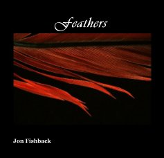 Feathers book cover