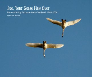 Sue, Your Geese Flew Over book cover