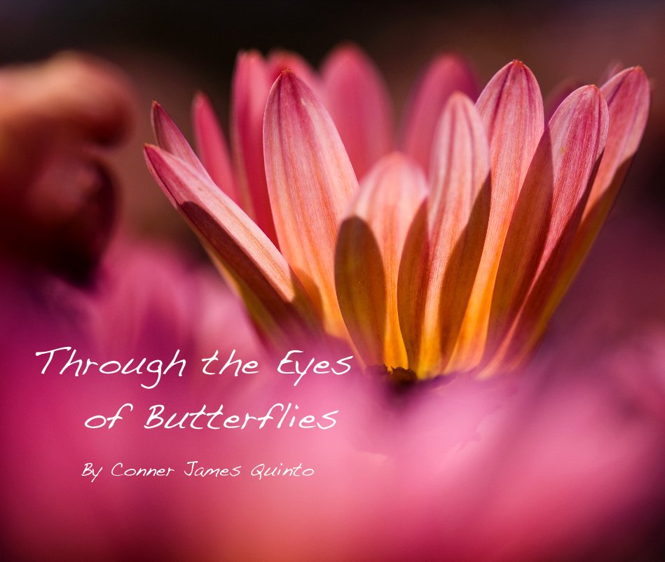 View Through the Eyes of Butterflies by Conner James Quinto