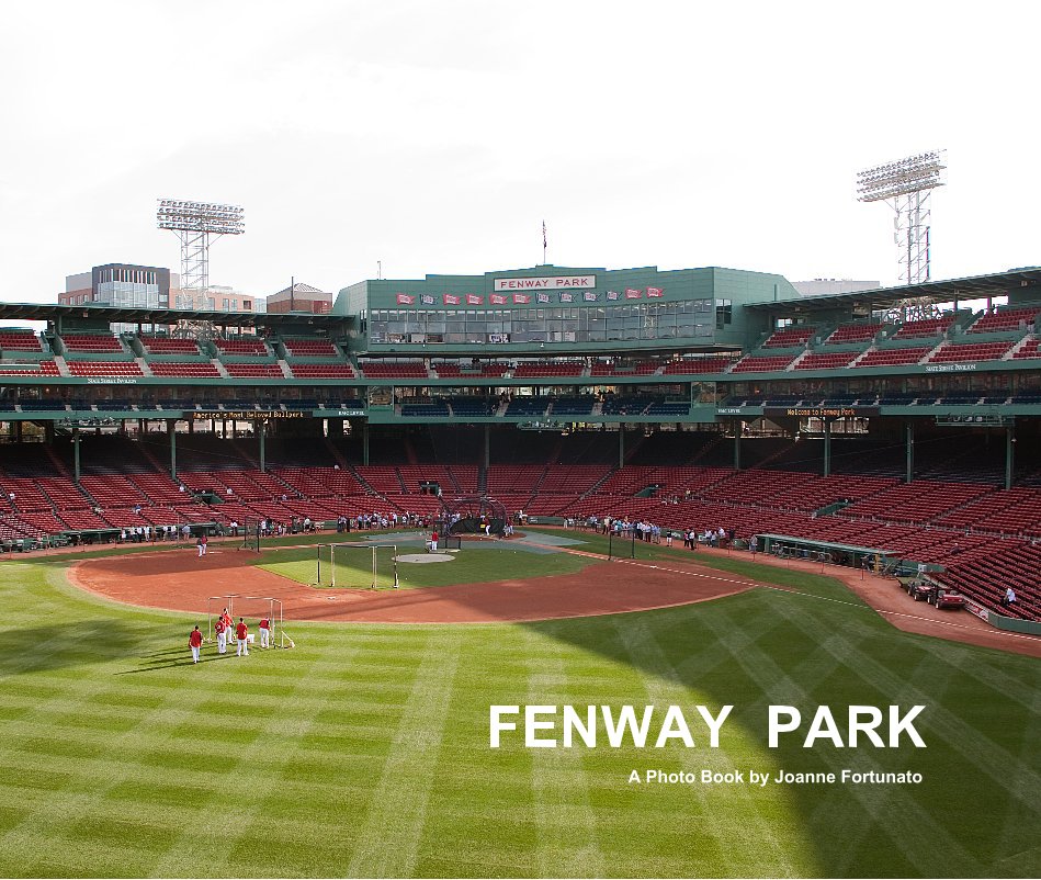 View Fenway Park by Joanne Fortunato
