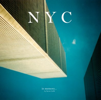N Y C book cover
