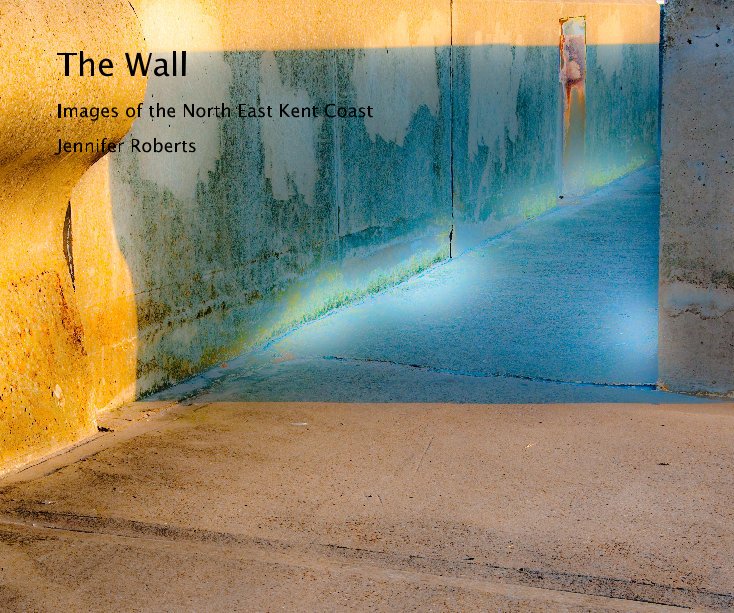 Visualizza The Wall di Jennifer Roberts