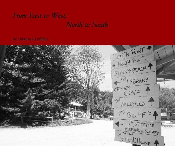 View From East to West, North to South by Theresa J LeBlanc
