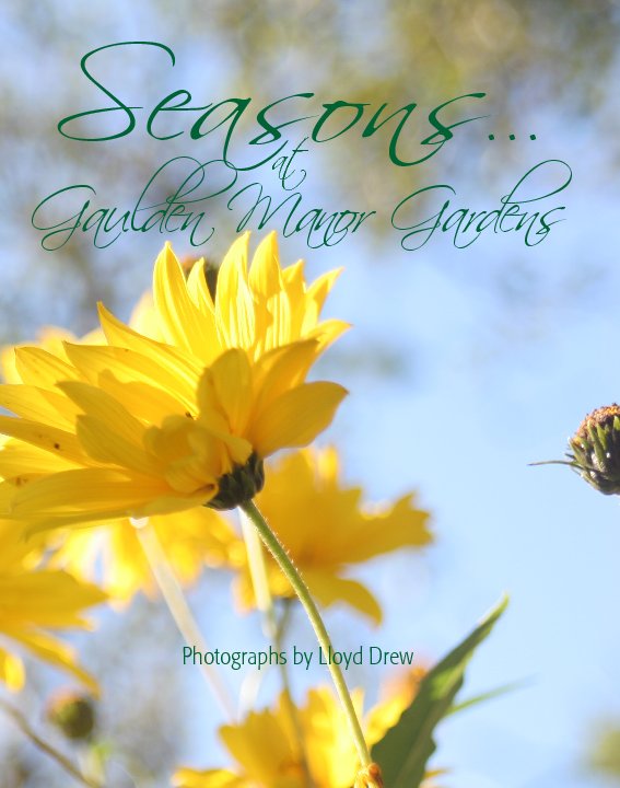 Seasons (softcover) nach Lloyd Drew anzeigen