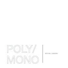 POLY/MONO book cover