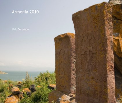 Armenia 2010 book cover