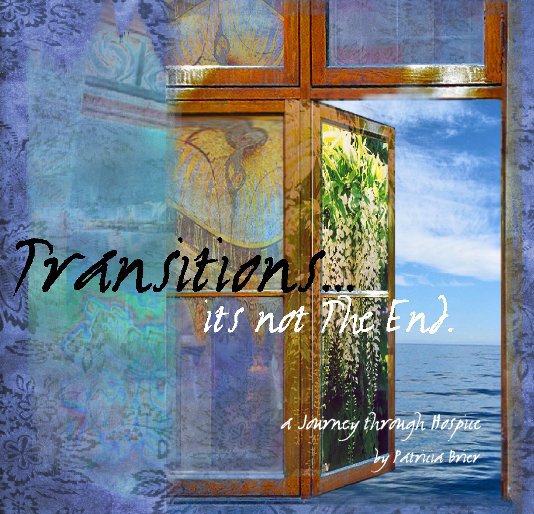 View Transitions by Patricia Brier