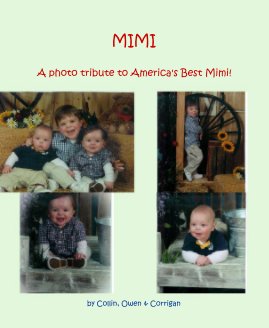 MIMI book cover