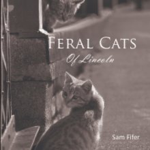 Feral Cats of Lincoln book cover
